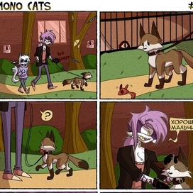 mono cats 2