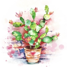 Весенний кактус