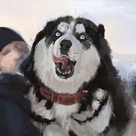 псик, ты любишь псиков?