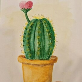 Кактус с любвью