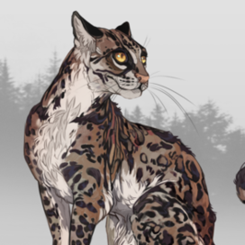 Большие кошки : Оцелот