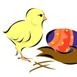 Цыпленок 🐣 