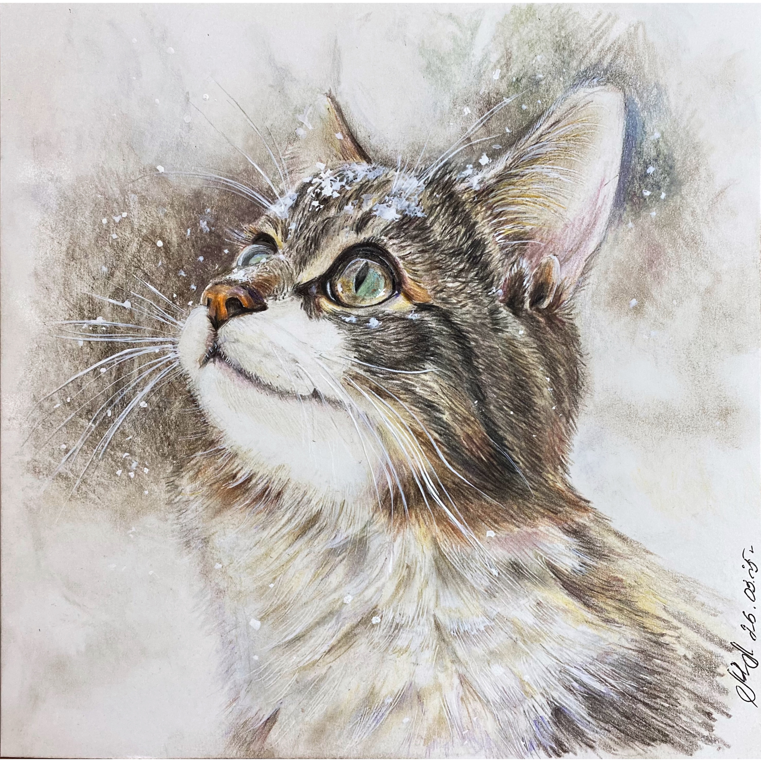 Первый снег