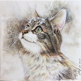 Первый снег