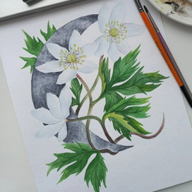 ЛУНОЦВЕТЬЕ 2024