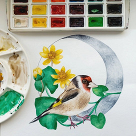 Луноцветье 2025