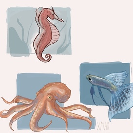 Морские обитатели