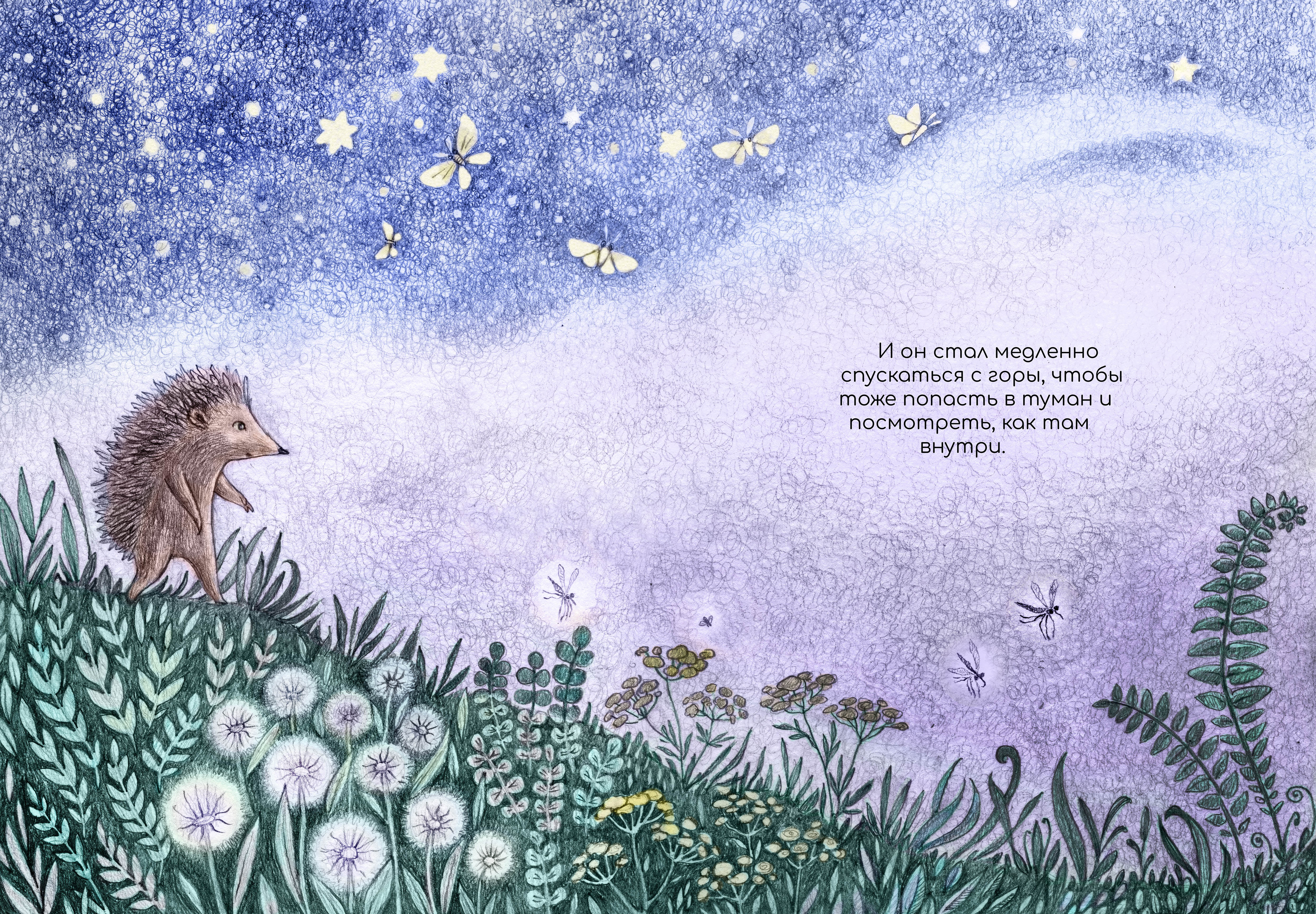 Ёжик в тумане