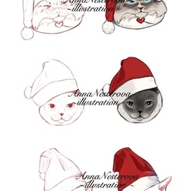 Стикеры с котиками