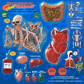 Биоконструктор