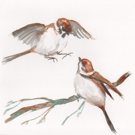 Воробьишки на ветке