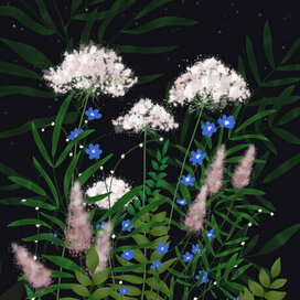 Полевые цветы