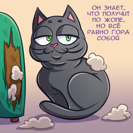 Кот и диван