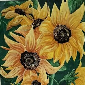 Подсолнухи
