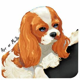 Милый пёсик 