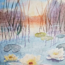 Лилии на закате