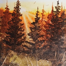 Ели на закате