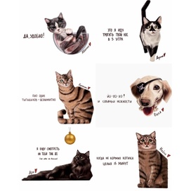 Мерч для приюта Котопес