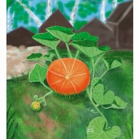 Тыква за огородом