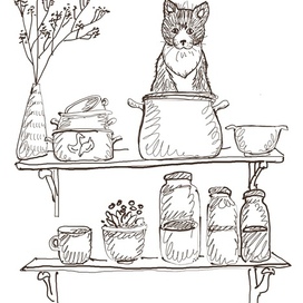 Кот в кастрюле