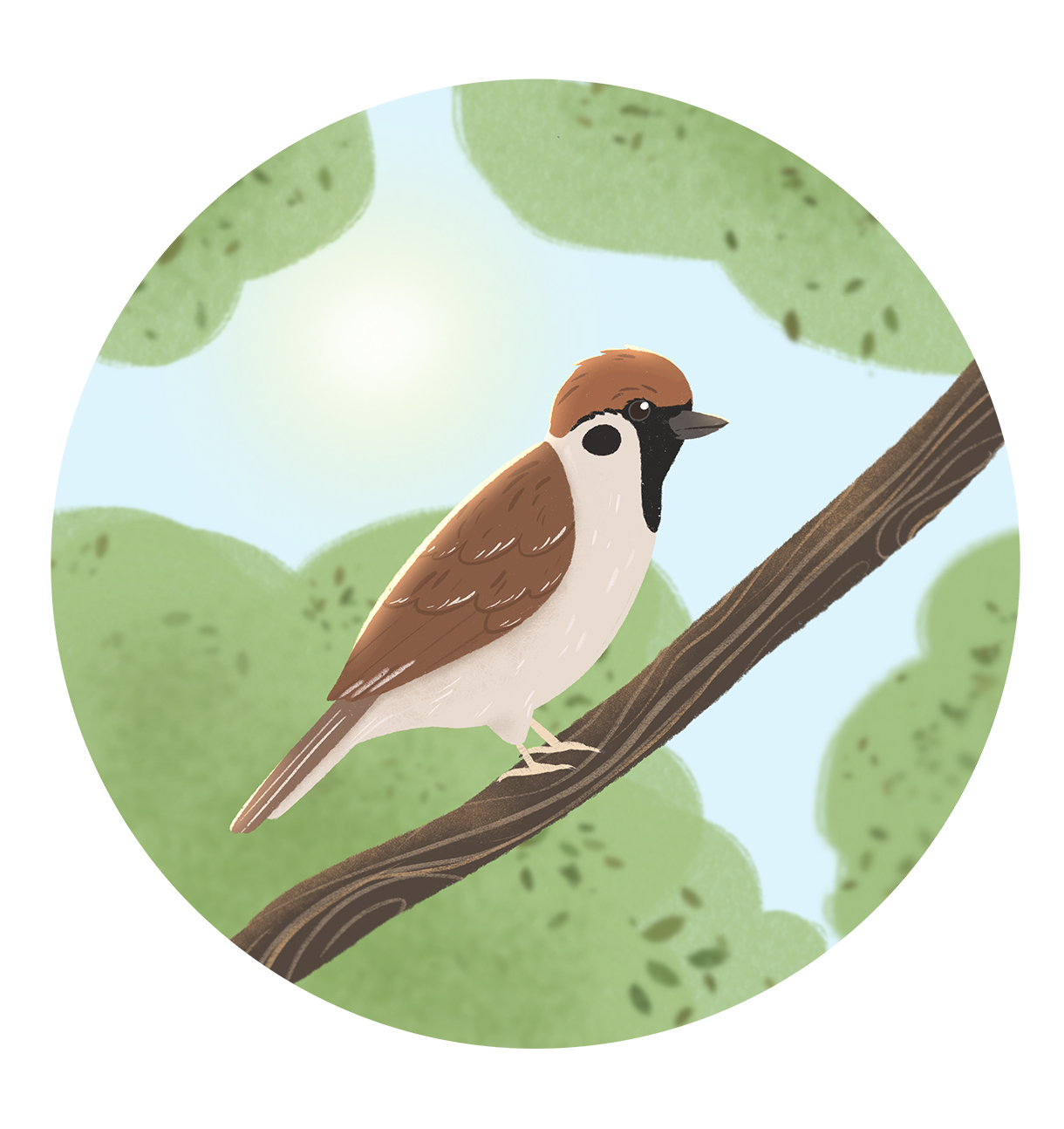 Воробей на веточке. Детская иллюстрация