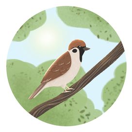 Воробей на веточке. Детская иллюстрация