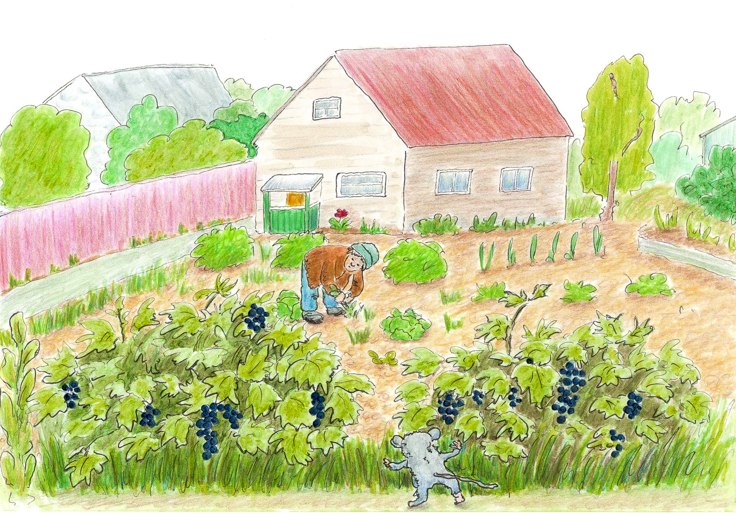 Садовые истории