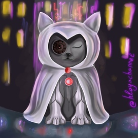 Ночной страж