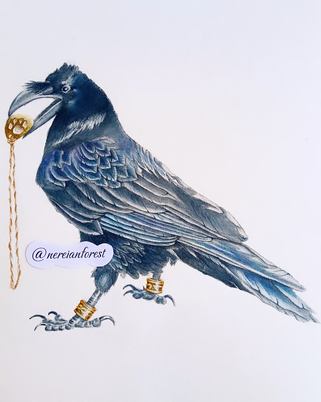 Ворон. Книга "Сказки Нерейского леса" Сказка Нерейский лес