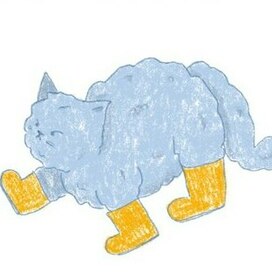 Смешной кот на открытке 