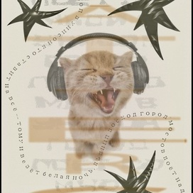 Город поёт со мной в унисон