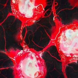 Единство (евангелион)