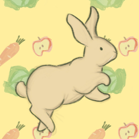 Кролик и всё, что ему нужно