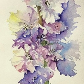 Акварель Дельфиниум