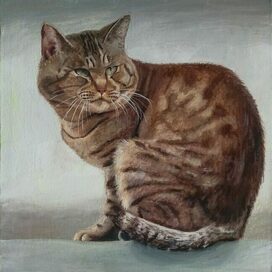 портрет кота