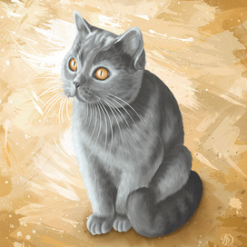 Любимый питомец