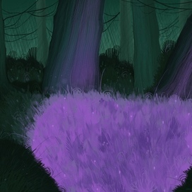 Волшебный лес