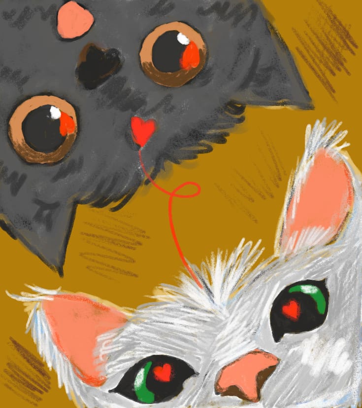 сладкая парочка