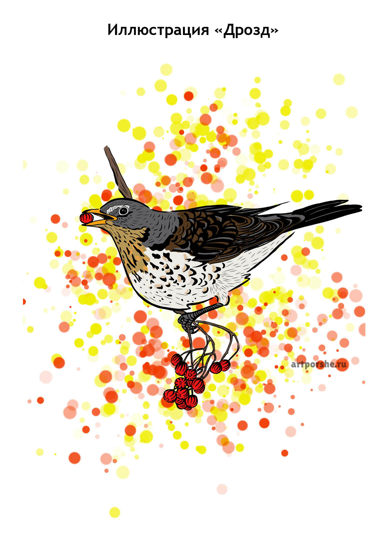 Принт "Дрозд"