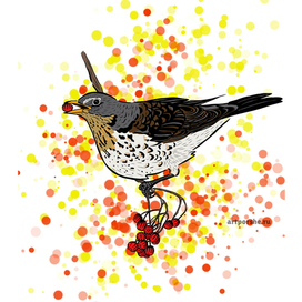 Принт "Дрозд"