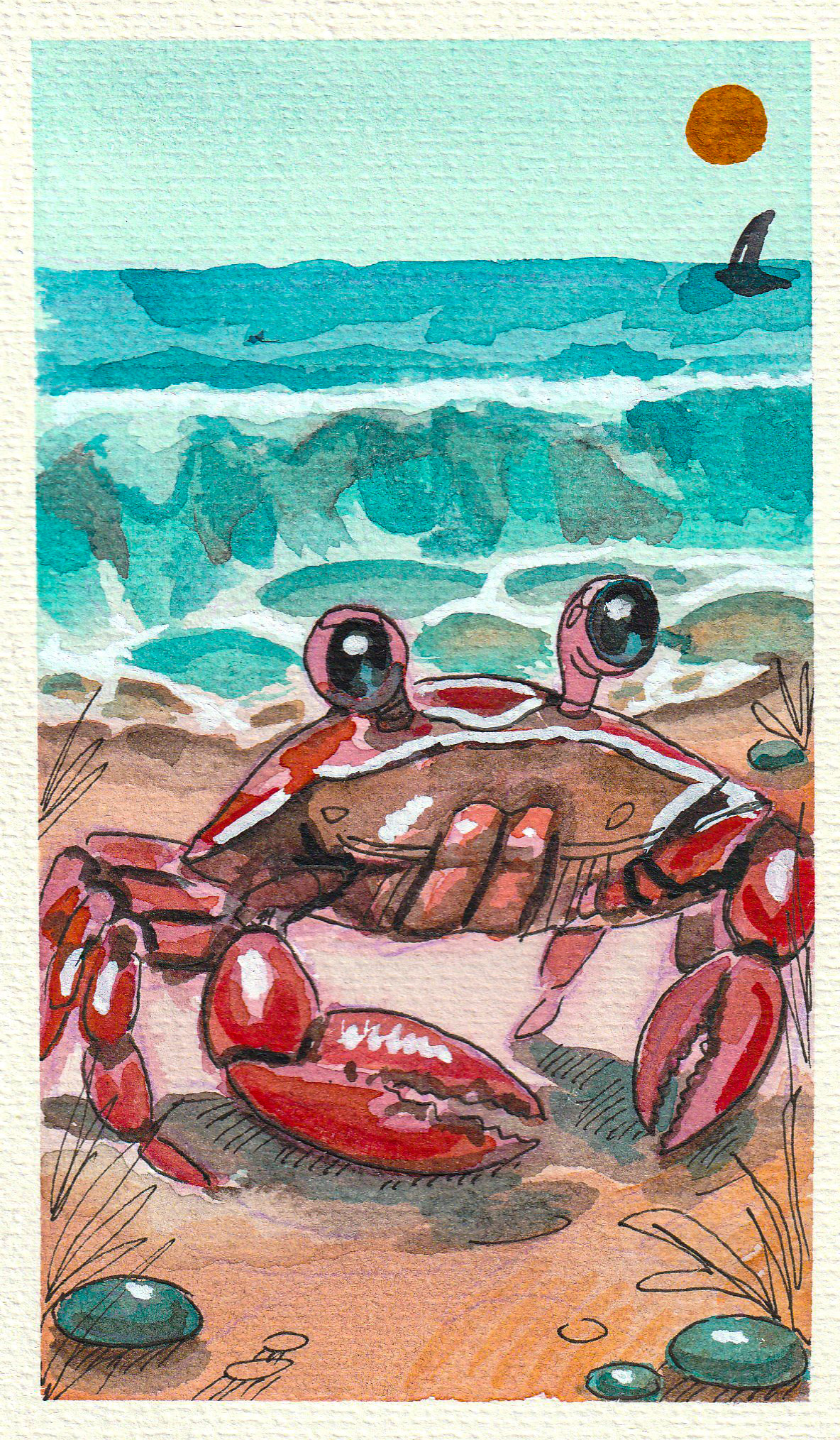 Краб в отпуске │ Акварель