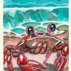 Краб в отпуске │ Акварель