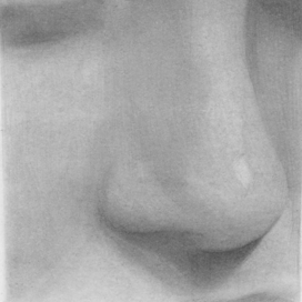 Зарисовка носа