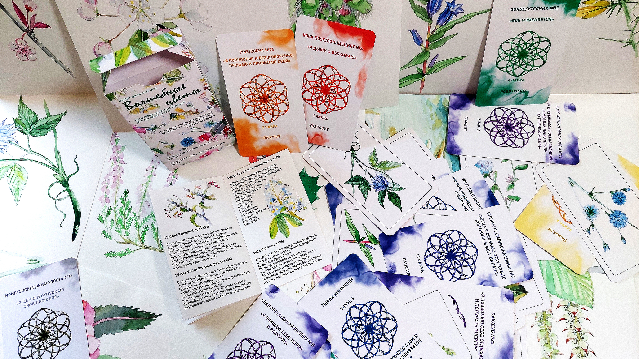 Волшебные цветы