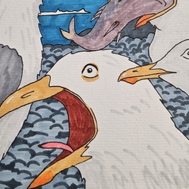 Чаечный хор