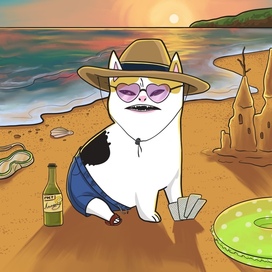 кот на пляже