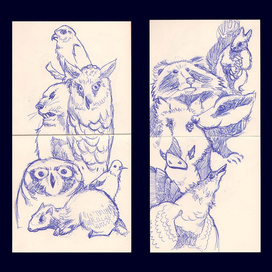 Зарисовки животных из краеведческого музея