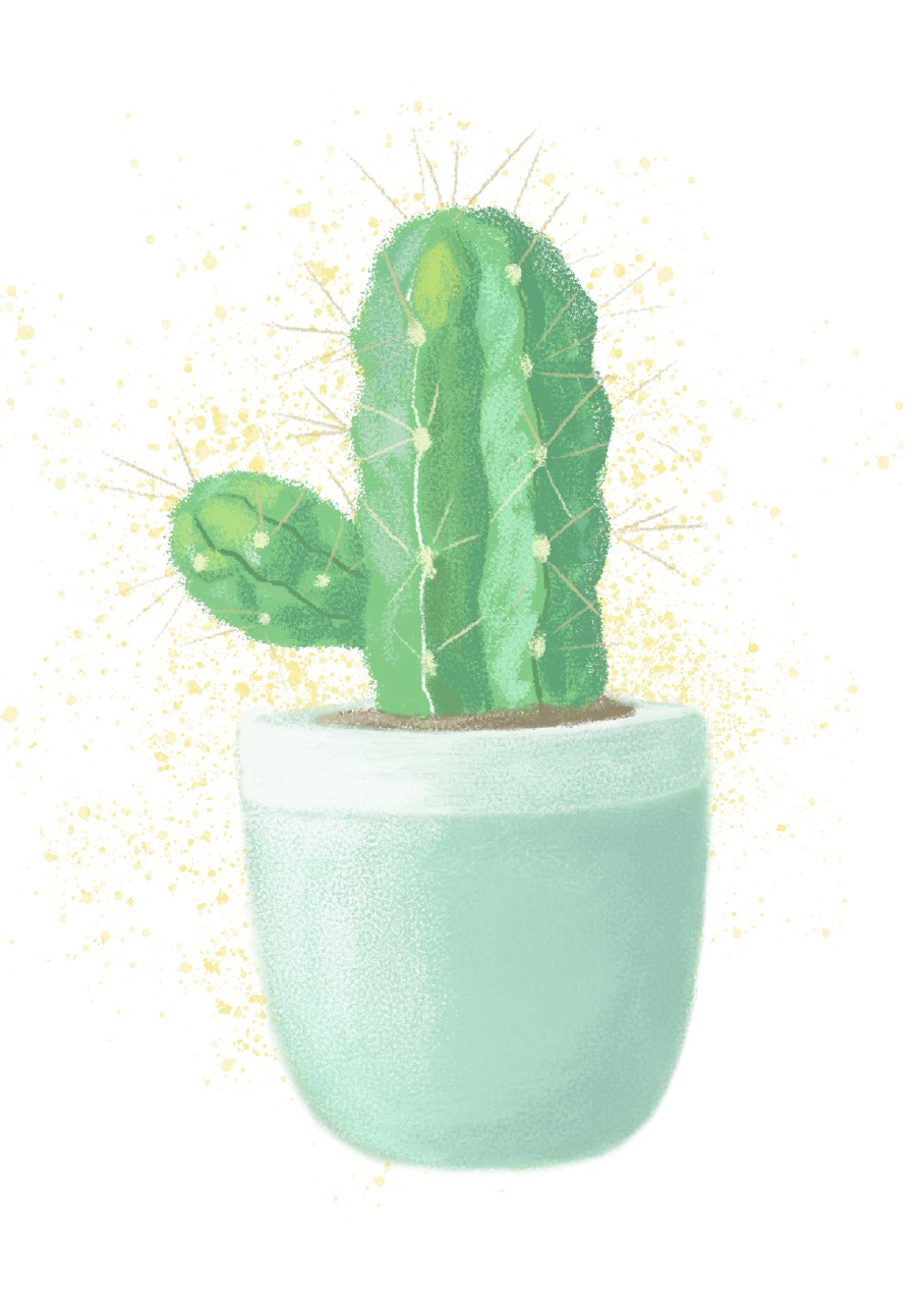 Иллюстрация Кактус 🌵