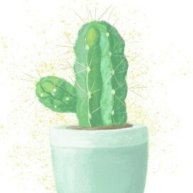 Иллюстрация Кактус 🌵