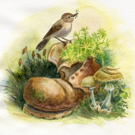 Природа и человек